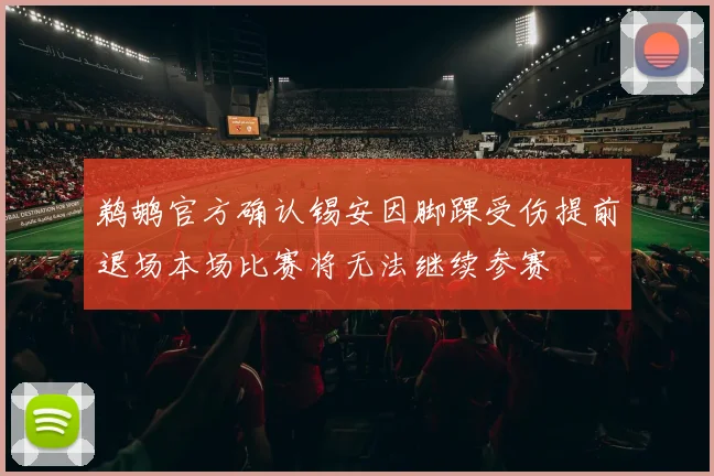 鹈鹕官方确认锡安因脚踝受伤提前退场本场比赛将无法继续参赛