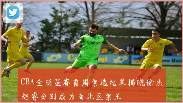 CBA全明星赛首周票选结果揭晓徐杰赵睿分别成为南北区票王