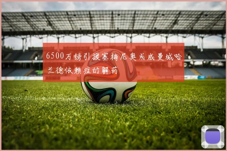 6500万镑引援塞梅尼奥或成曼城哈兰德依赖症的解药