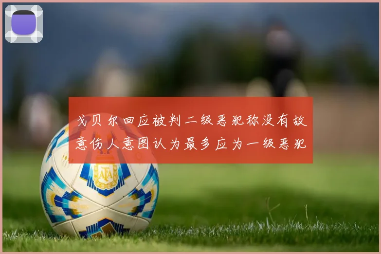 戈贝尔回应被判二级恶犯称没有故意伤人意图认为最多应为一级恶犯