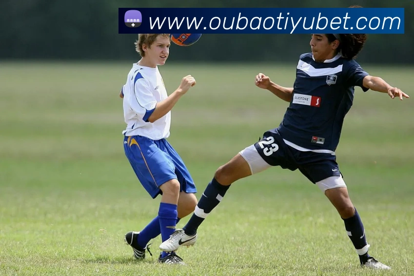 欧宝体育发展历程